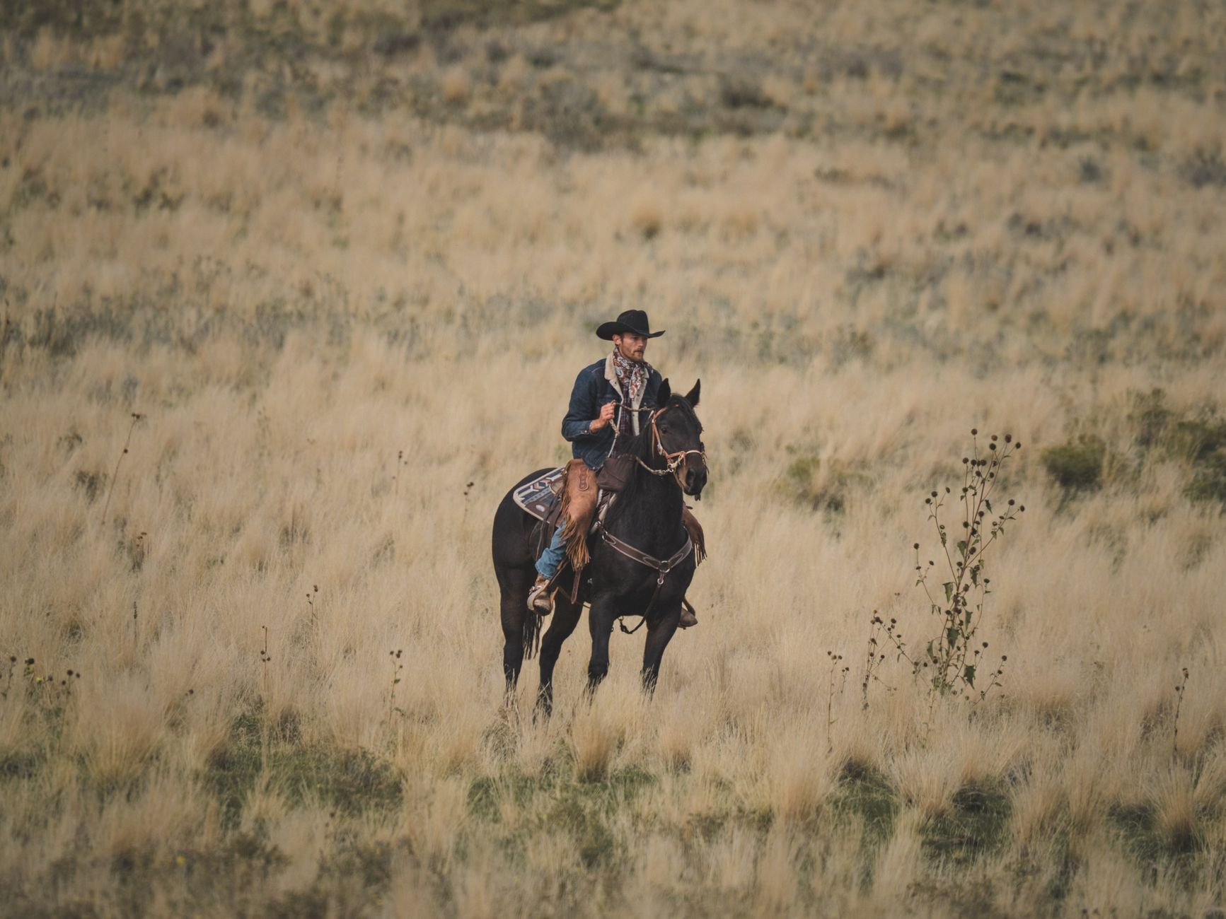 A cowboy rides a horse through the scenic Utah landscape, embodying western heritage.