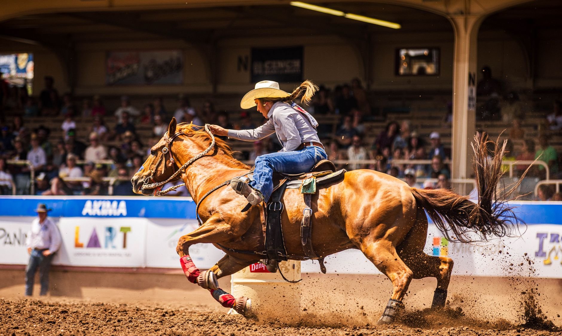 Cowgirl racing in a rodeo arena, the dust rising behind her horse in the barrel racing run.